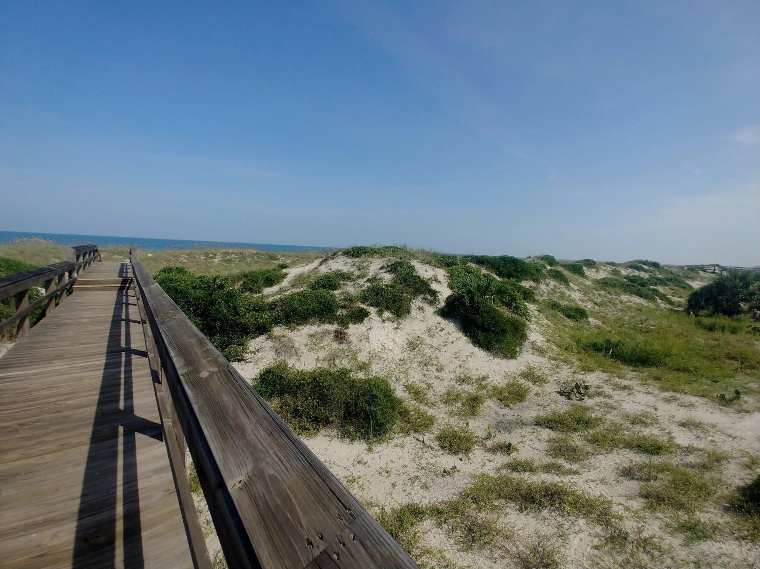 Coastal landscape